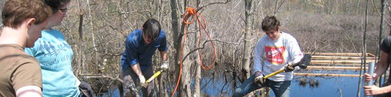 Civic Engagement Class Image