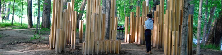 Civic Engagement Class Image