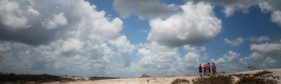 College of the Environment