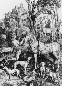 A Dog's Life: Images from Dürer to Wegman
