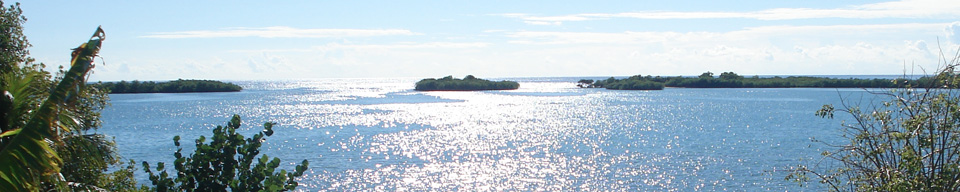 Earth & Environmental Sciences