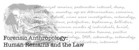 Forensic Anthropology Banner