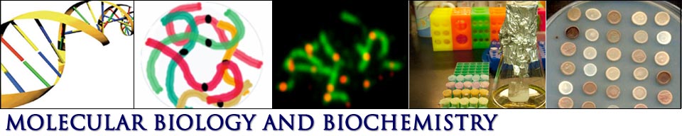 Molecular Biology and Biochemistry header