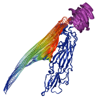 DNA Image