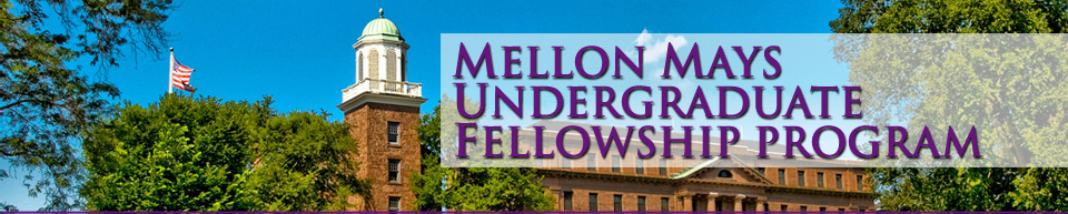Mellon Mays Undergraduate Fellowship Program