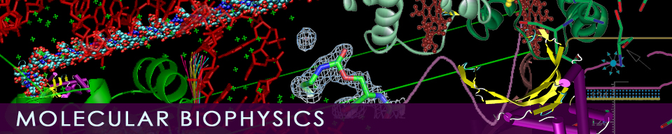 MolBioPhys