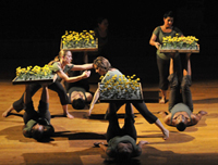 Meditations from a Garden Seat