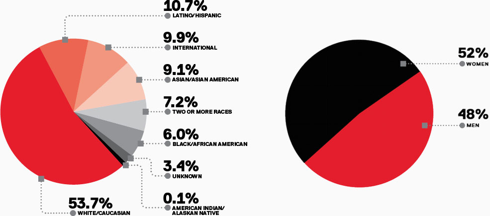 pie charts 2024 class profile ethnicity and gender