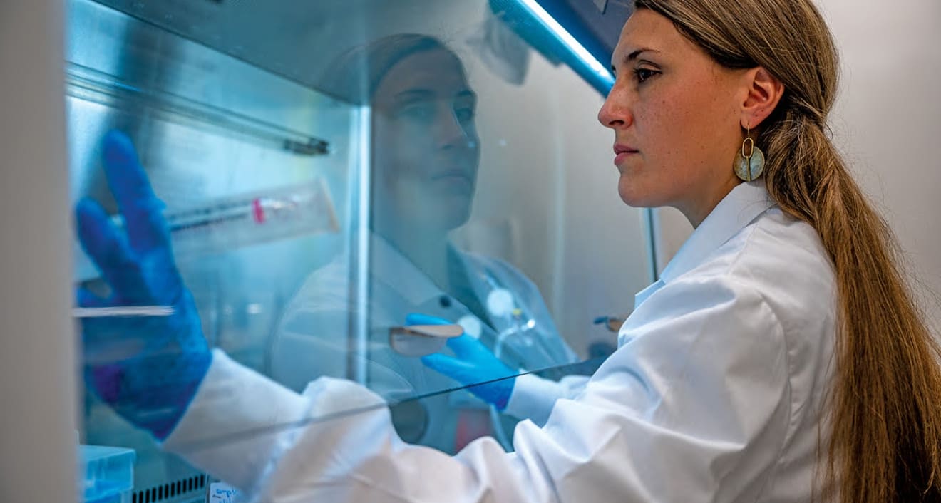 By cultivating Alzheimer’s-afflicted mini-brains, Professor Alison O’Neil aims to get a better look at the early stages of the disease, a discovery that could ultimately lead to better treatments. Photo courtesy Connecticut Public
