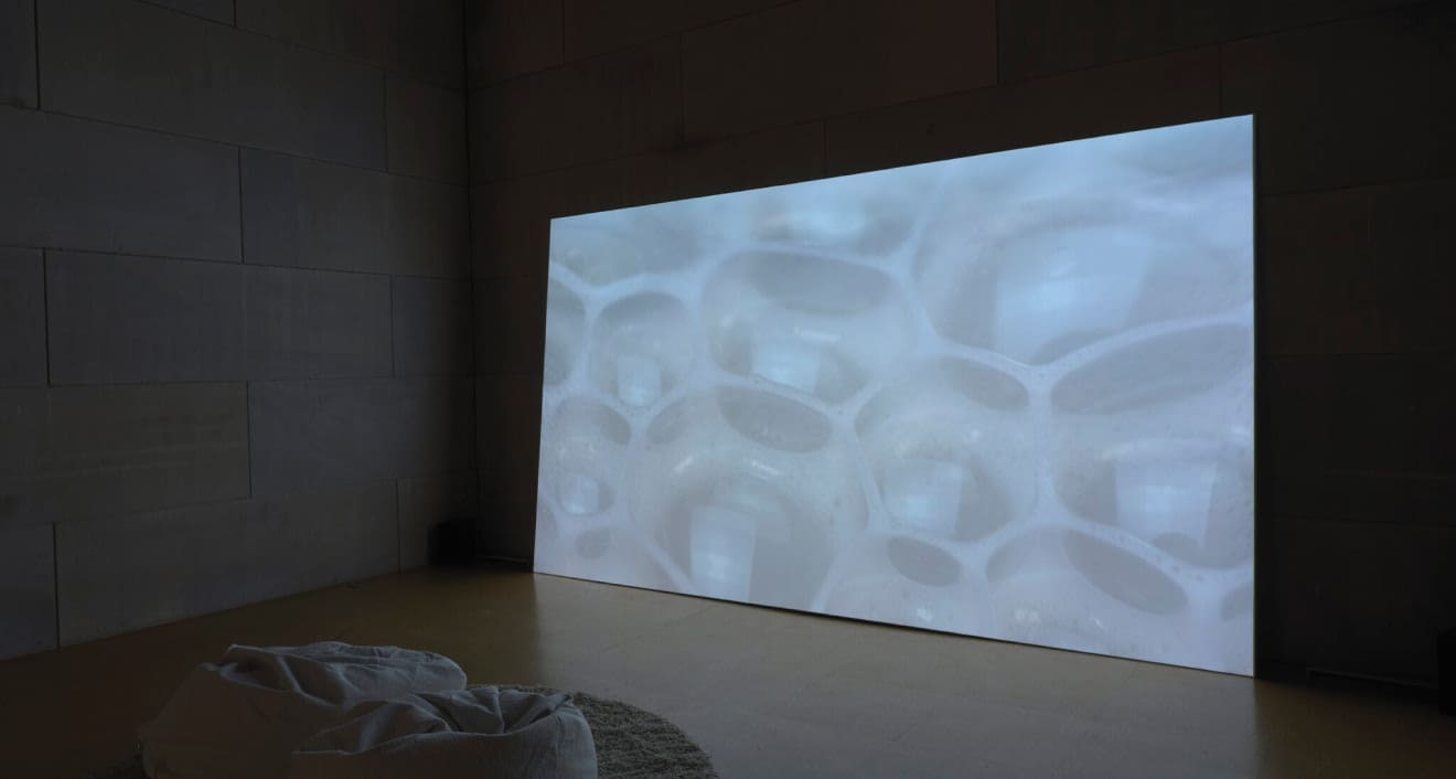 Installation view of Ilana Harris-Babou’s “Liquid Gold.” Photo by Dario Lasagni. Image courtesy of Wesleyan University’s Center for the Arts.