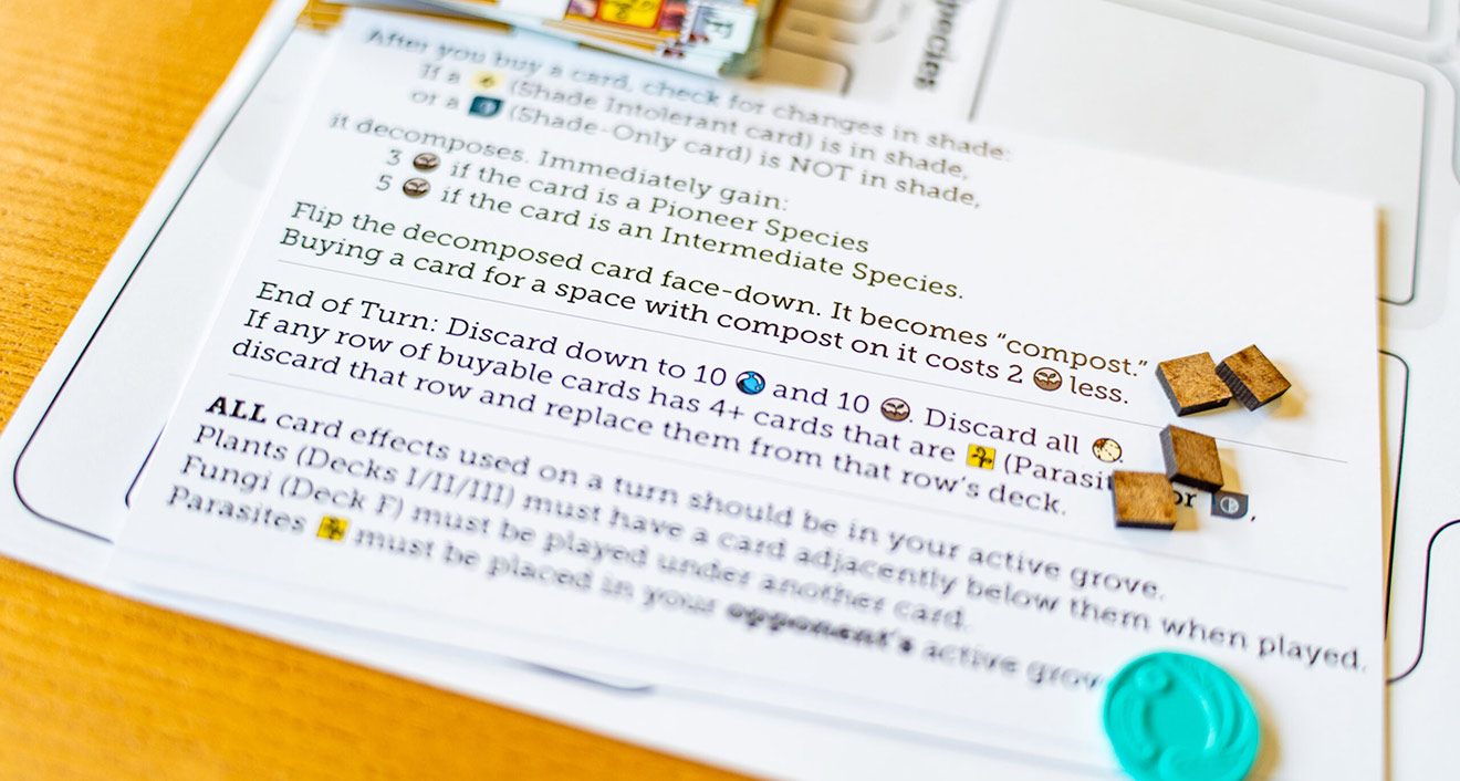 Bringing Sylviculture to life meant heavy, cross-disciplinary research and hours spent making cards and game pieces from scratch using 3D printers and laser cutters in Wesleyan’s Digital Design Studio. While developing games to this extent is not a requirement for the class, Lin said it became more of a passion project and something she felt personally committed to creating and seeing through.