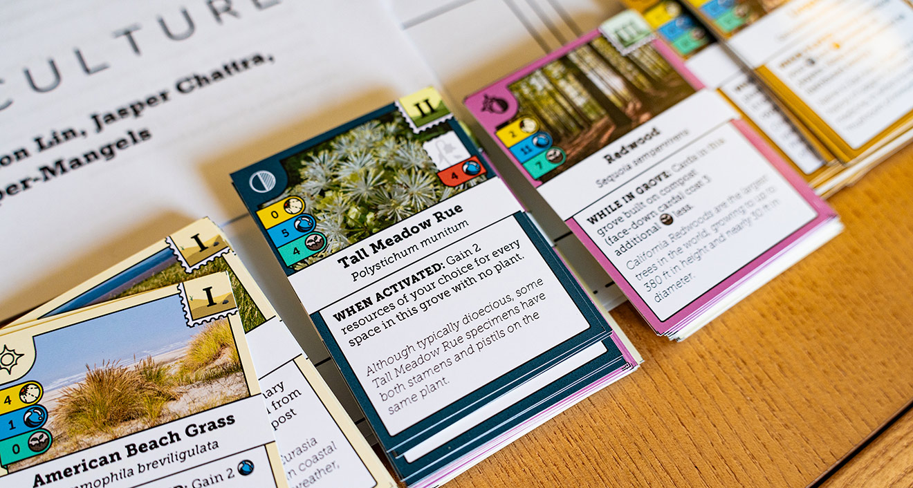 One of the projects emanating from Zamboni’s class is Sylviculture (by students Shannon Lin ’25, Jasper Chattra ’25, and Ramey Harper-Mangels ’25), a card game that simulates the processes that enable ecosystems to mature over time, incorporating scientific concepts like primary species and climax communities through intricately designed cards and game pieces.