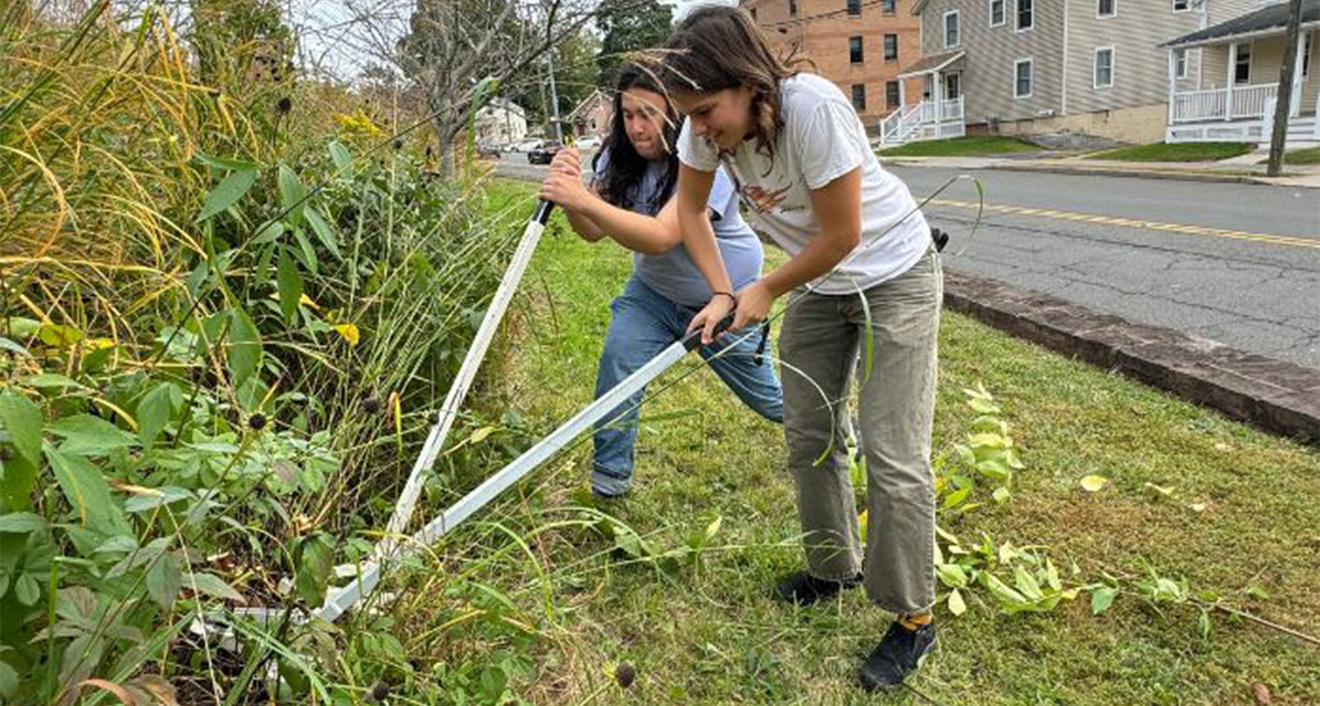 Students doing sustainability work