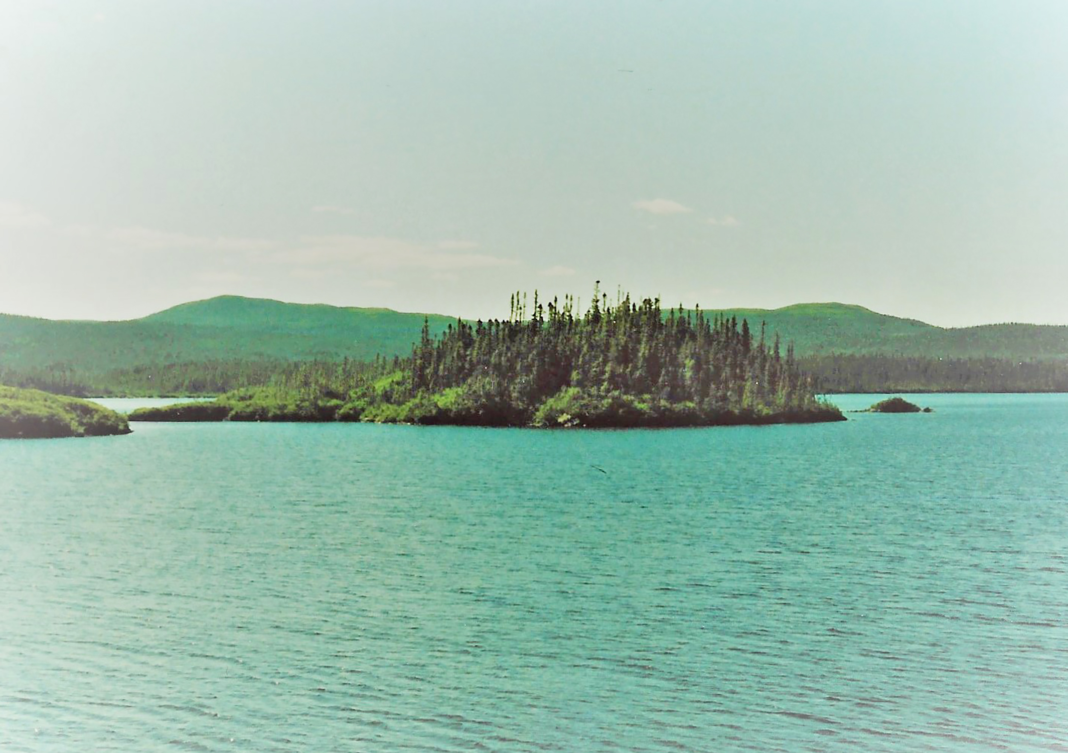 view of Glover Island, Newfoundland.