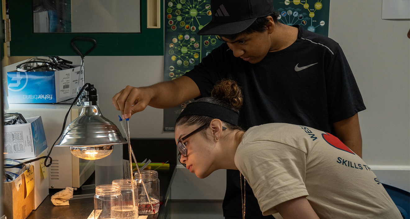 Upward Bound students engaged in a lesson about environmental science and sustainability.
