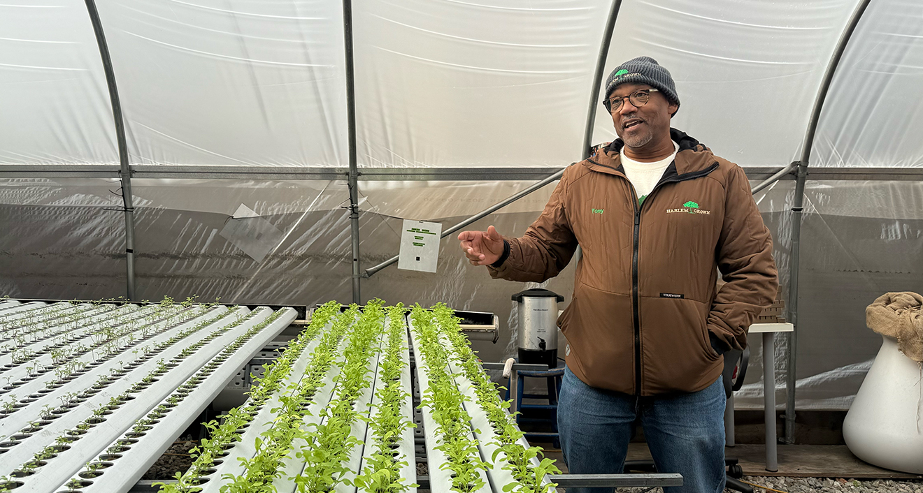 Harlem Grown’s CEO Tony Hillery gave a tour to students.