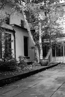 nancy house