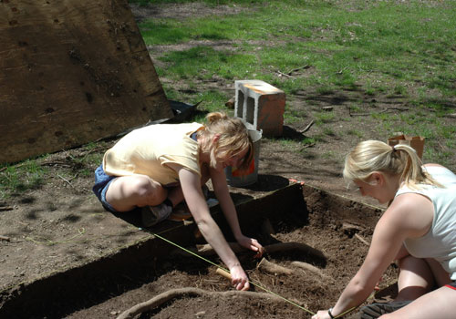 Field Methods students battle the dreaded tree root