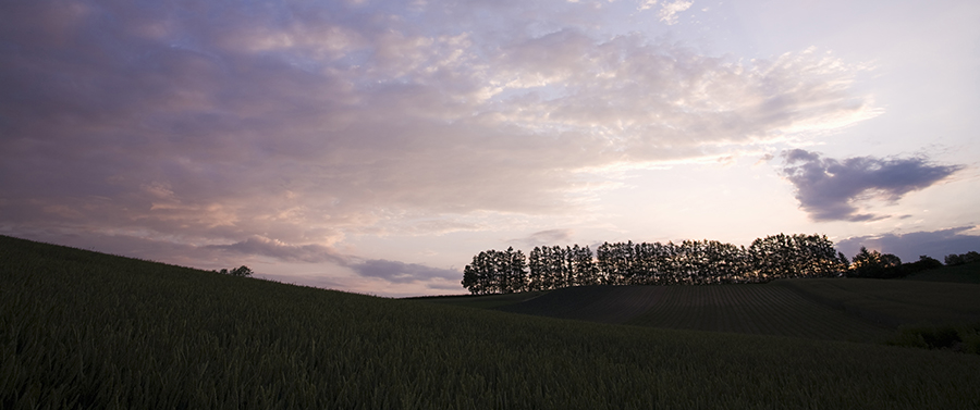 Landscape at twilight