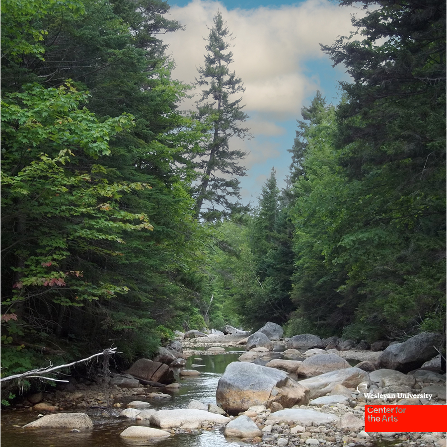 River with rocks and trees