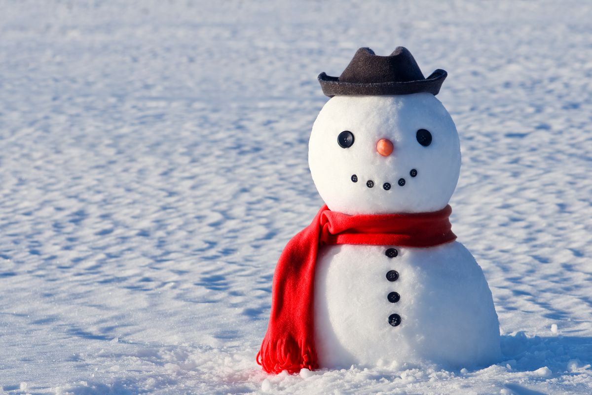A snowman smiling with a button smile, a carrot nose, a dark grey hat, and a candy apple red scarf. The sun is shining on the fresh snow. 