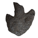 image of a dinosaur footprint fossil in the shape of a heart