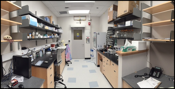 Etson Physics Lab