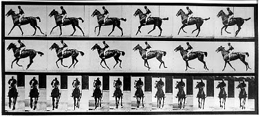 Eadweard Muybridge Annie G, 1885, albumen print (photo: Phil)