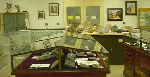Museum