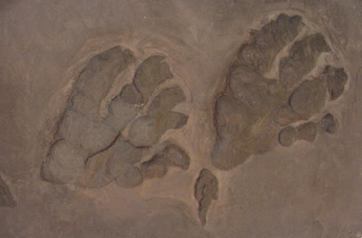 footprint exley lobby