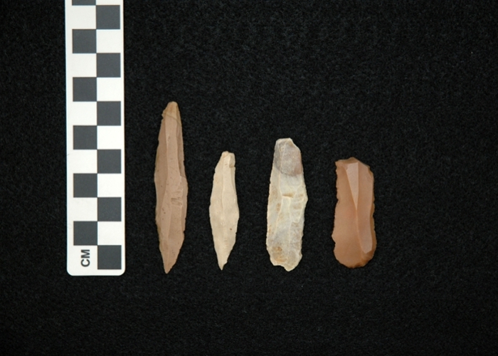 Lower Paleolithic Stone Tool Technologies