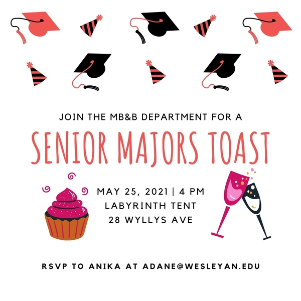 senior-toast.jpeg