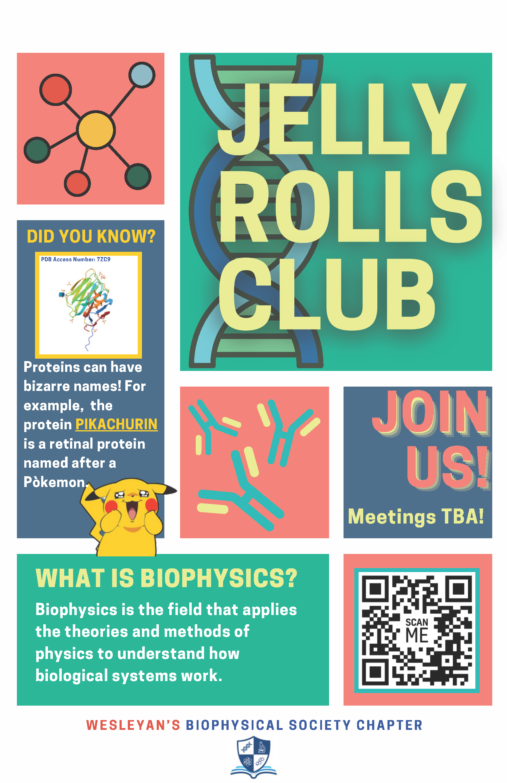 Image Text: The Jelly Rolls Club, Wesleyan's Biophysical Society chapter. Join us! Meetings TBA! Did you know, proteins can have bizarre names! For example, the protein pikachurin is a retinal protein named after a Pokemon. What is biophysics? Biophysics is the field that applies the theories and methods of physics to understand how biological systems work.