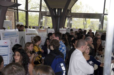 Department of Psychology Poster Sessions 2012