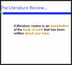 literature review