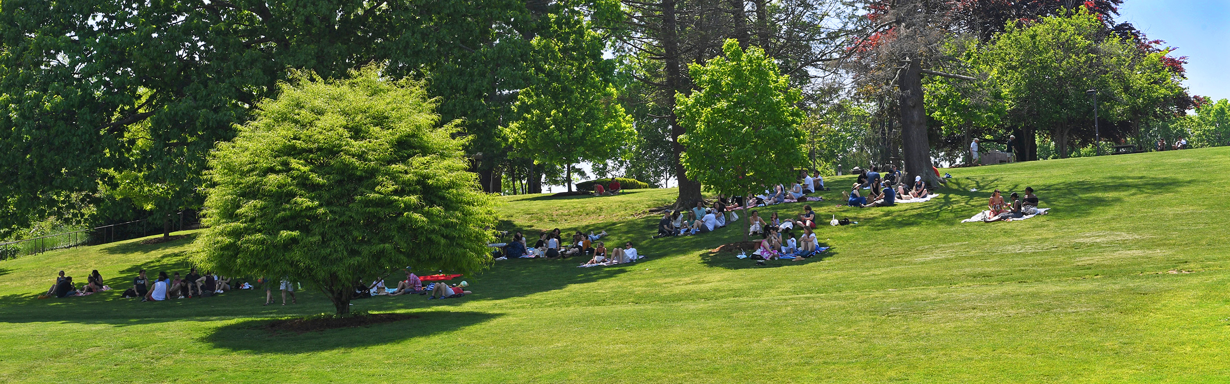 Picnic on Foss Hill