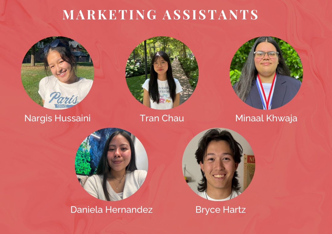 Marketing Assistants