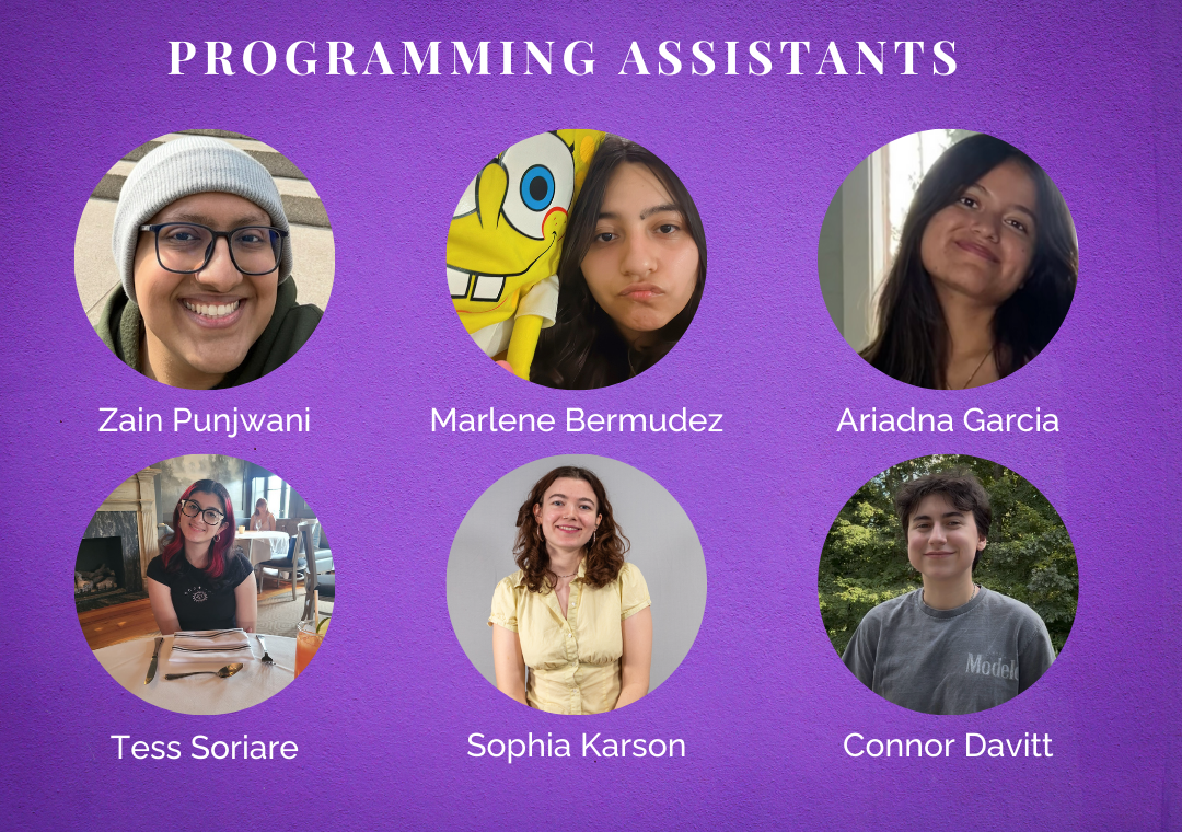 Programming Assistants2 