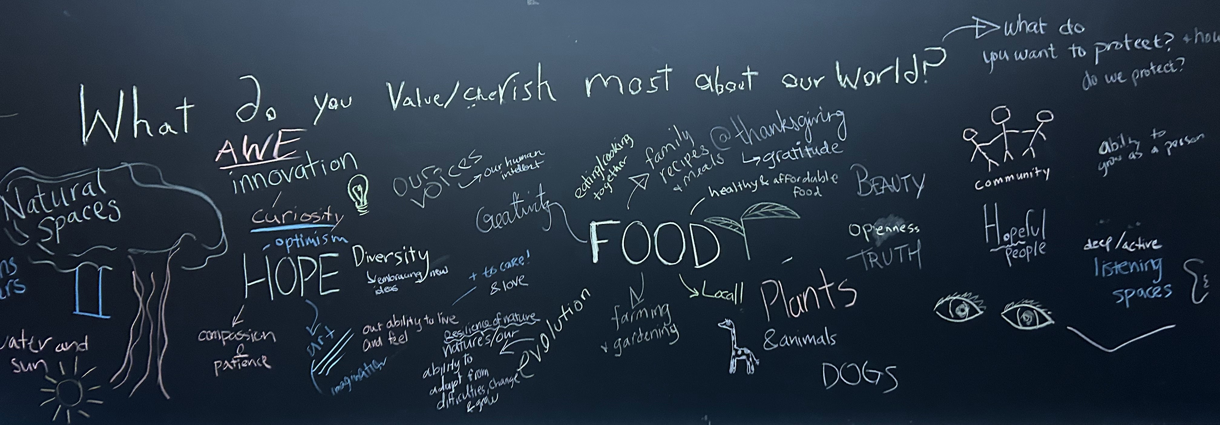 What do you value/cherish most about the world? Silent Conversation Activity, Nov. 2025