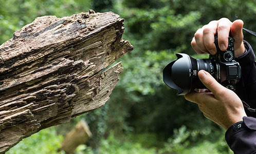 Large_Photography.jpg