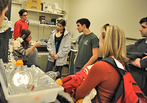 Elizabeth Evans ’13 describes how she has learned to solder electrodes that are surgically-implanted into the cortex of epileptic mice to monitor their seizure activity.