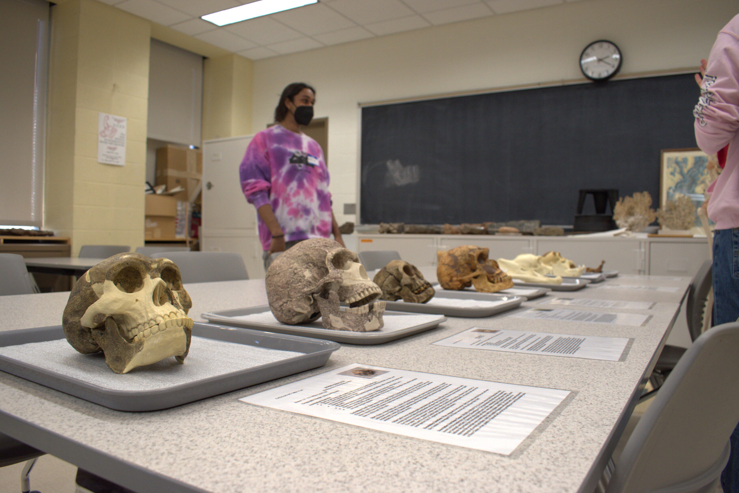 Archaeology and Collections Open House '22 Bone Collection