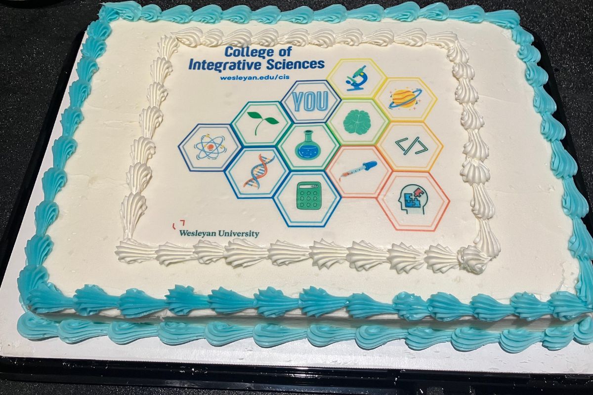 a photo of a cake featuring the CIS logo